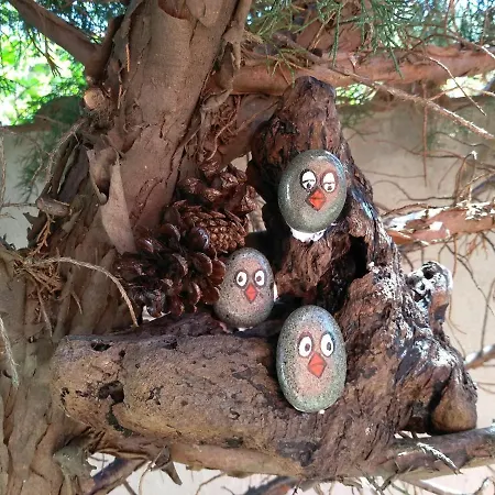 House Rezvaya With For Rent 3* Rezovo