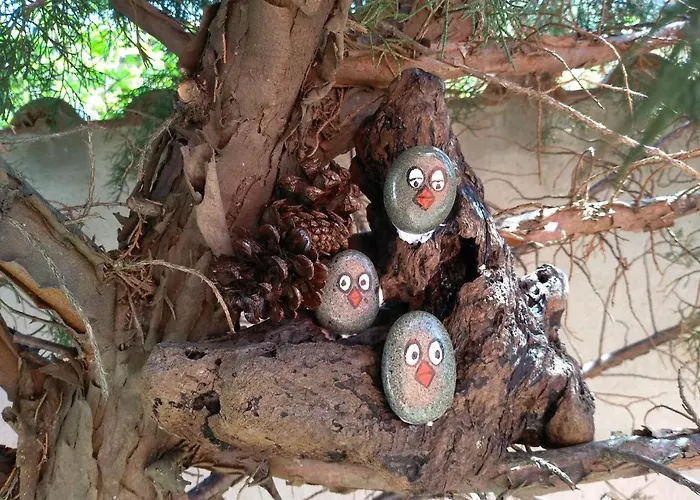 House Rezvaya With For Rent 3* Rezovo